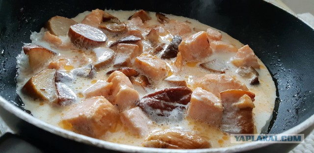 Кулинарный парад в честь 23 февраля