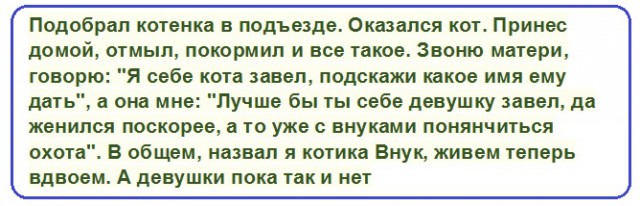 Анекдоты, соц-сети, истории и картинки с надписями