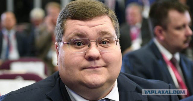 В России за пять лет увеличилось число страдающих ожирением