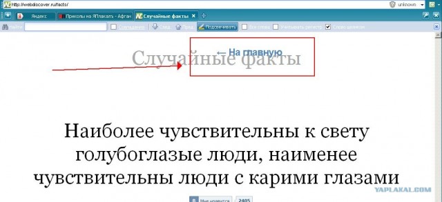 Всем по факту!