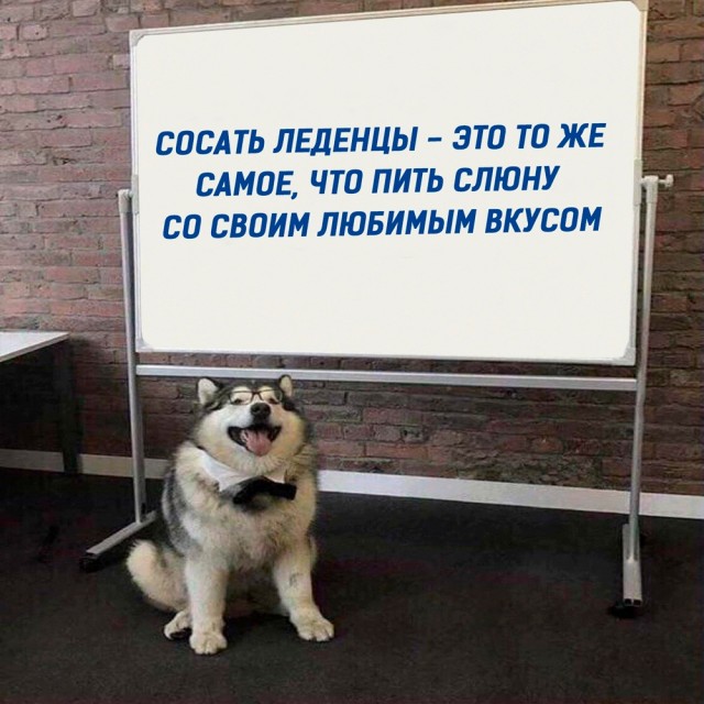 Немного картинок с надписями и без - 12.12.19