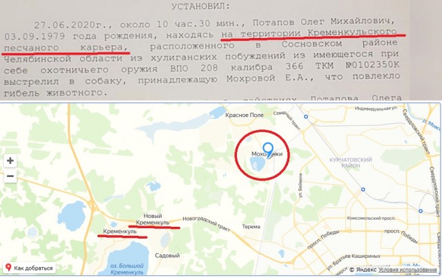 Полное видео про убийство хаски под Челябинском