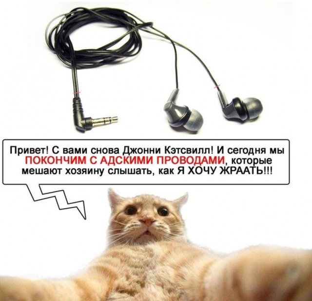 Приключения Джонни Кэтсвилла