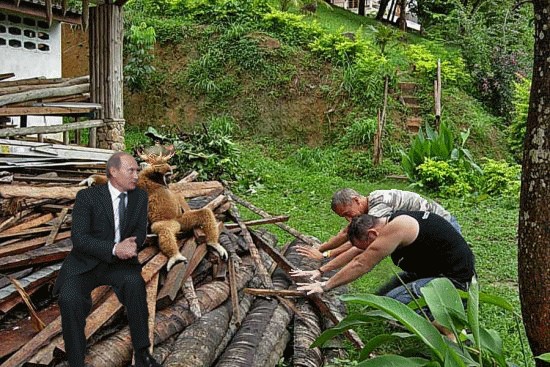 Фотожаба: "Олигарх из джунглей"