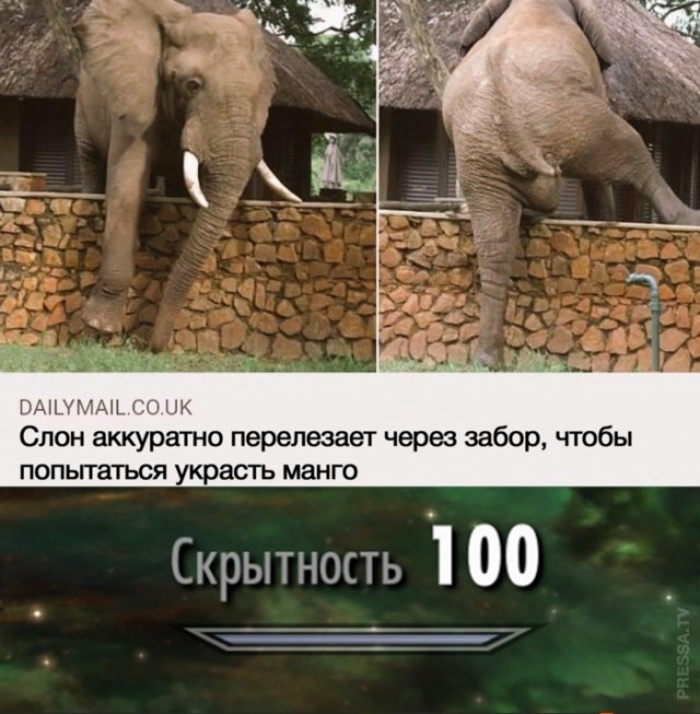 Немного картинок для настроения 11.11.20