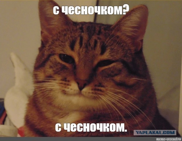 Почему нужно есть сало. Полезные свойства любимого народного продукта