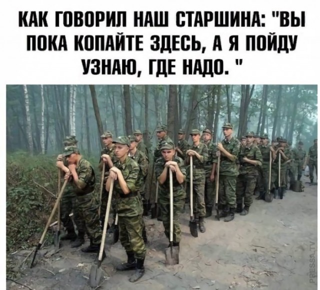 Картинки и мемы для настроения 015