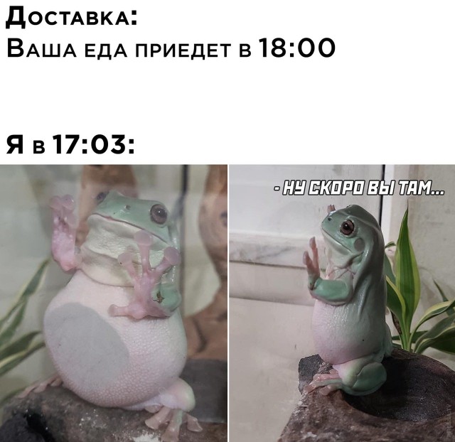 Картинки и мемы для настроения 018