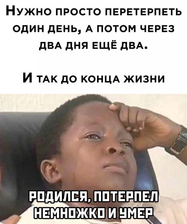 Весёлый полтишок 23.03