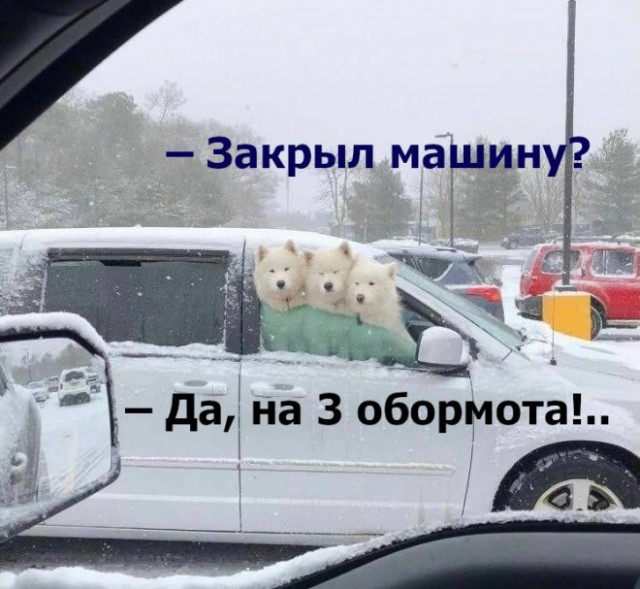 Картинки и мемы для настроения 17.08.2021