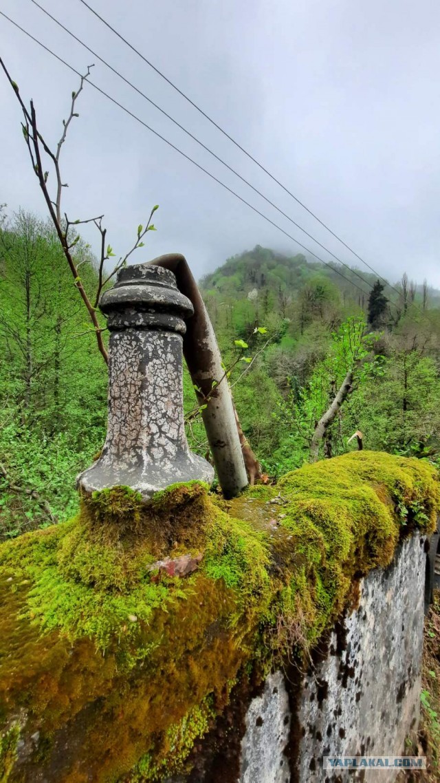 Моя мобильная фотография