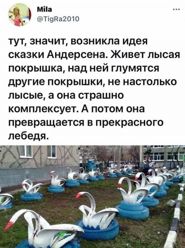 Всяческие картинки 08.11.2021