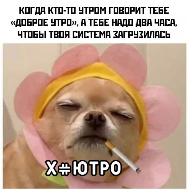 Картинки для настроения
