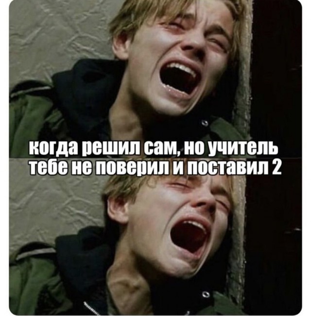 Весёлый полтишок 14.11