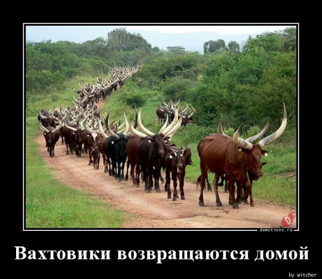 Все бабы козлы или нет?