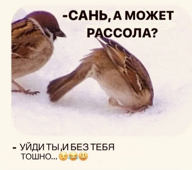 Алкопост 7.01.22
