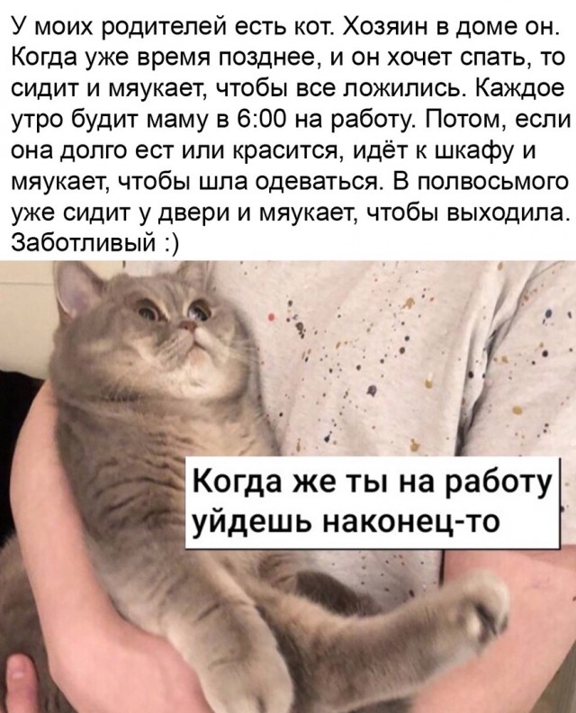 Так себе картинки 03.03.22
