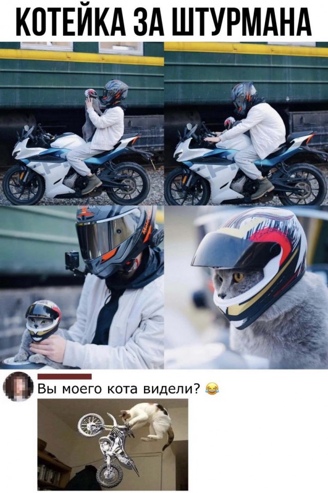 Картинки и мемы для настроения 31.03.2022