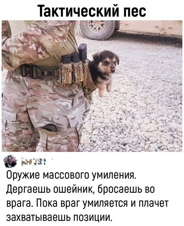 Так себе картинки 10.04.22