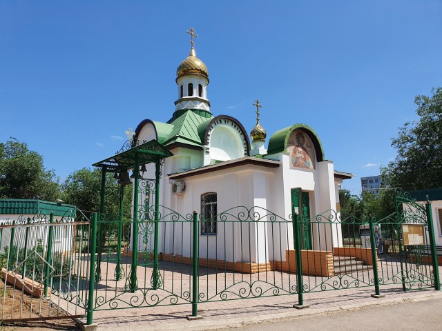 Астрахань – город «мёртвых» собак