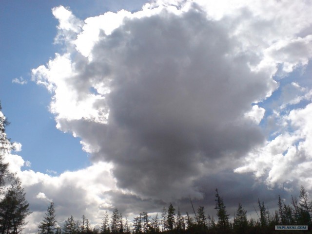 Небольшой рассказ о Севере