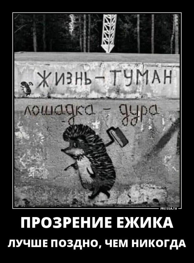 В Германии предложили использовать «Северный поток-2»