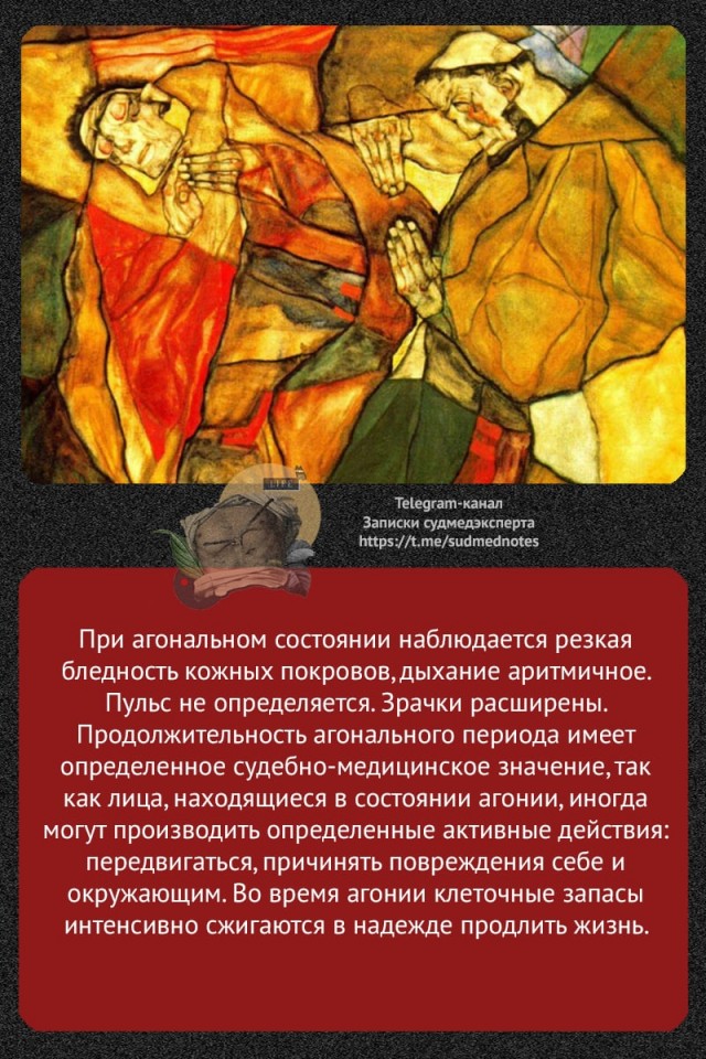 О терминальных состояниях организма