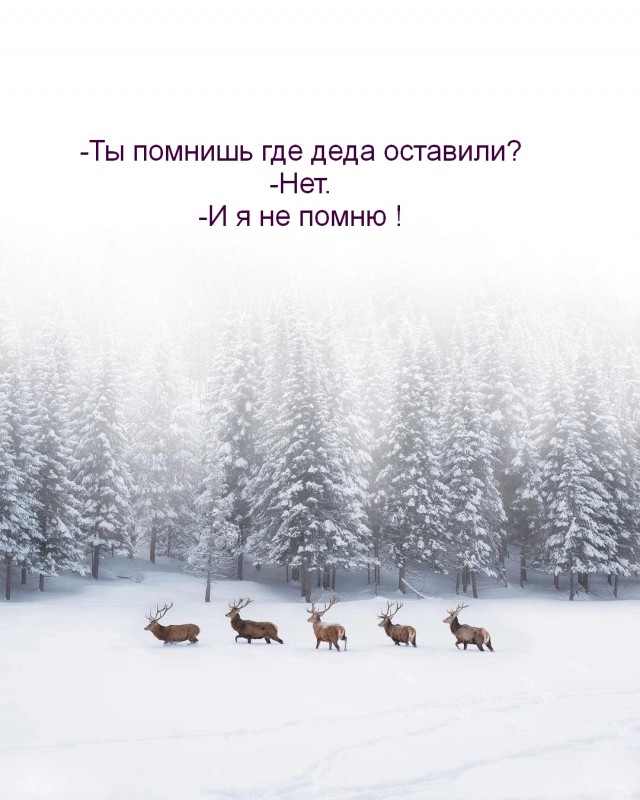 Немного картинок для настроения - 127