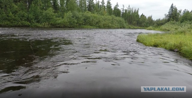 Тайга: страшные истории. Часть 3