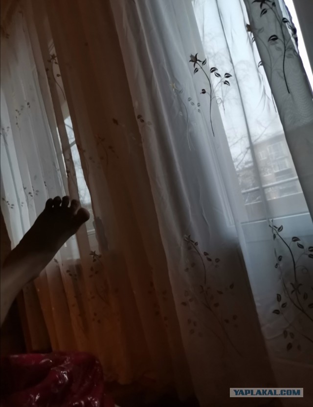У будущей жены должна быть квартира и машина