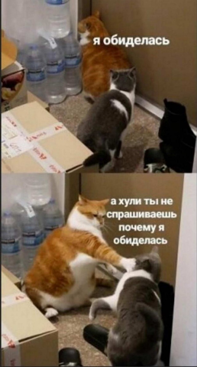 Картинки и мемы. Выходные близко...