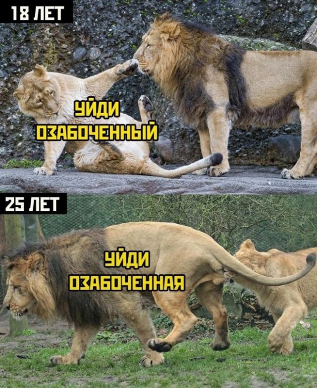 Немного картинок для настроения 07.03.2023