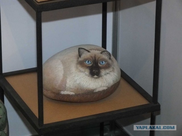 Каменные коты Маргариты.