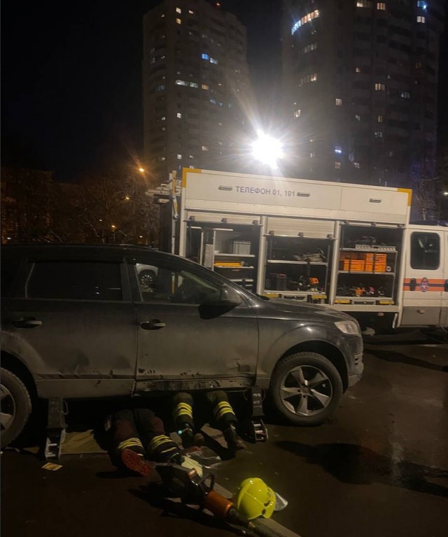 Кот-механик из Москвы решил перебрать двигатель машины, но не рассчитал сил и застрял