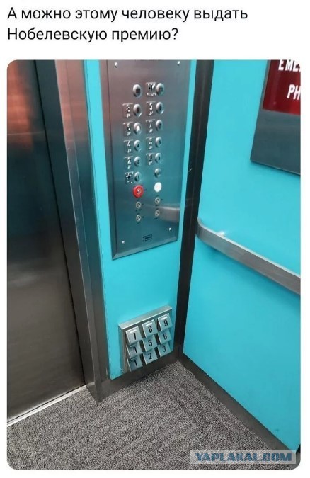 Нобелевку не раздумывая