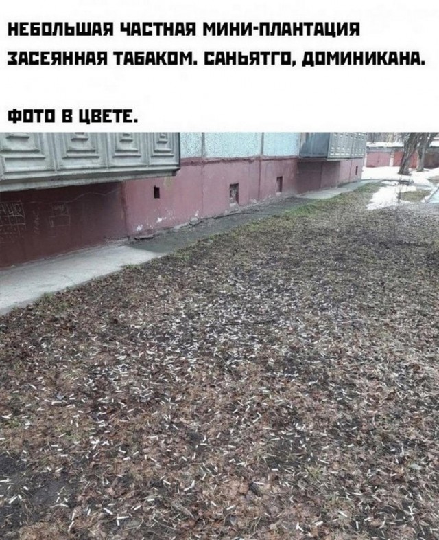 Нуштош 14.04.2023