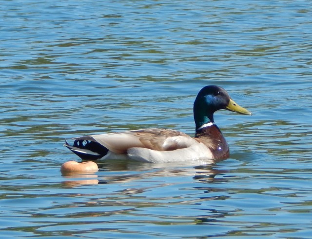 Природа Южного Урала