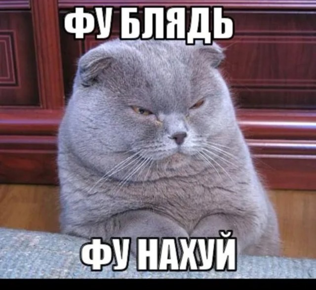 Макака изнасиловала туриста