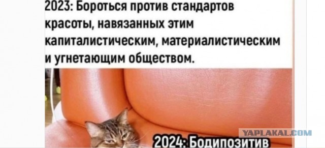 Мемчики и картинки для настроения и подумать