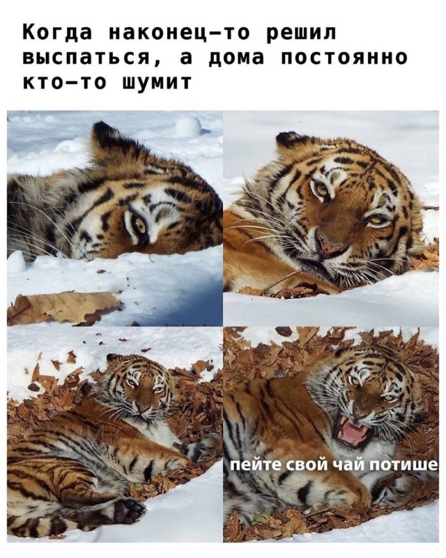 Как понять, что ваши друзья - алкоголики?