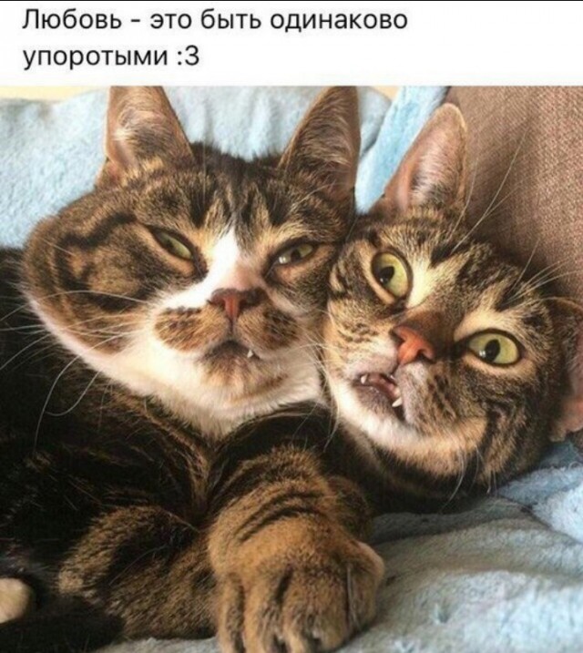 Всего понемногу. От 04.03.24