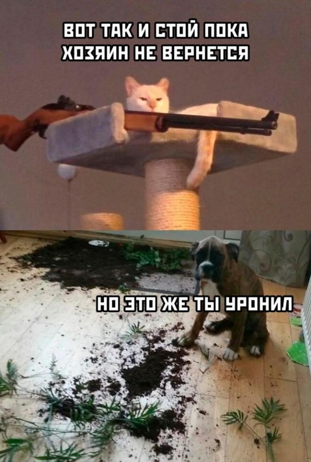 Всего понемногу. От 15.05.24