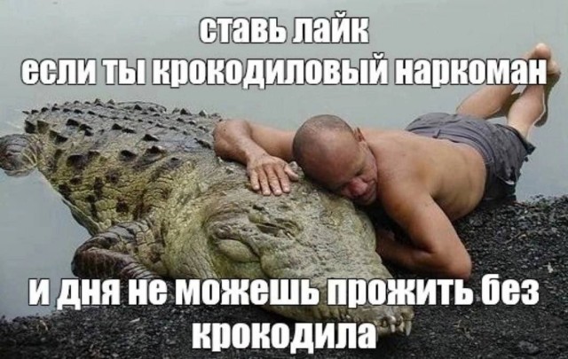 Гена не оценил шлепки