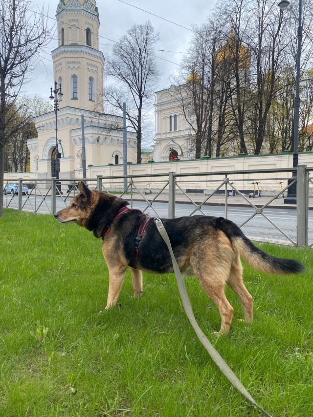Давайте пенсионеров сюда