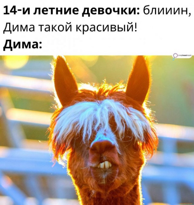 Немного ниочём