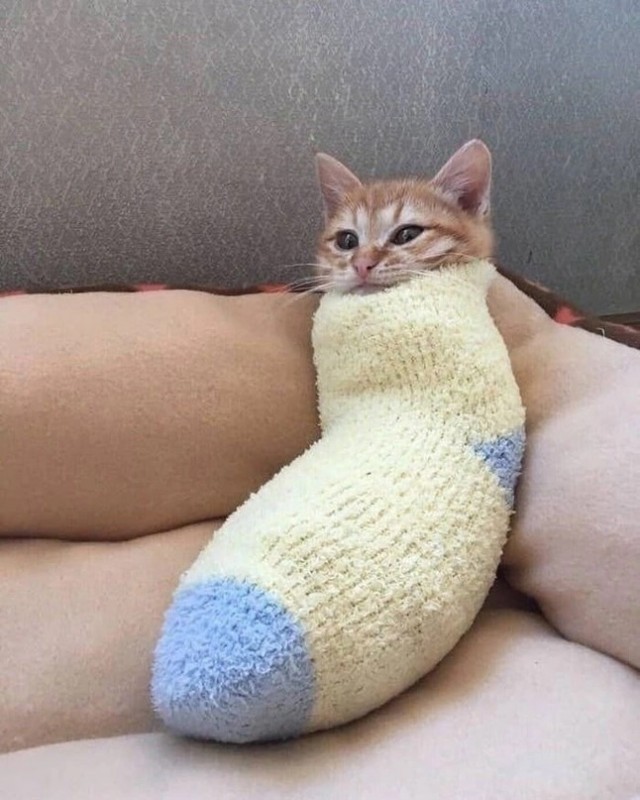 Так себе картинки 06.10.24