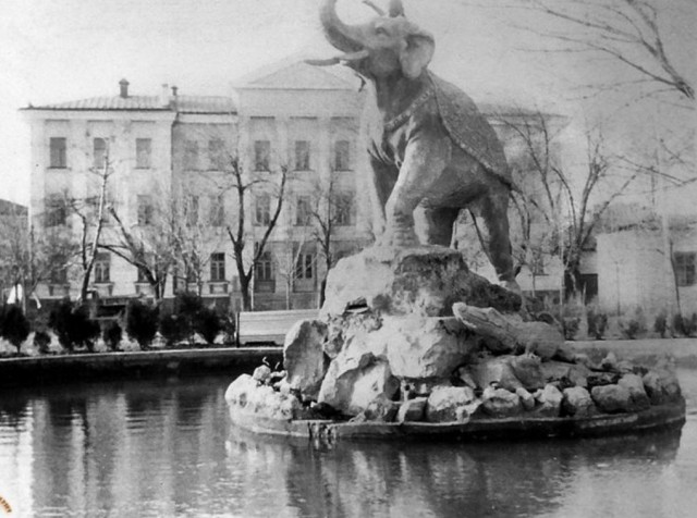 Слон из детства