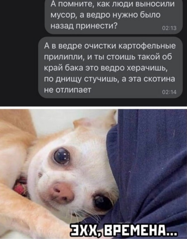 Так себе картинки 25.11.24