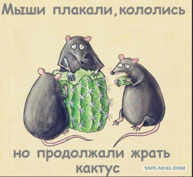 Мошенники, или что за дичь-то этакая?