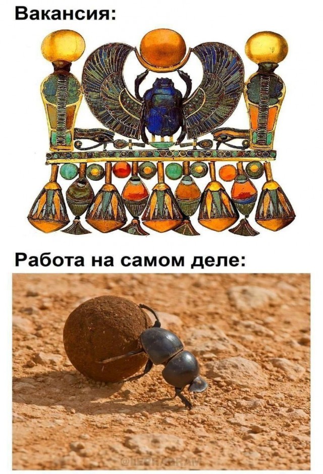 Расскажи мне про море